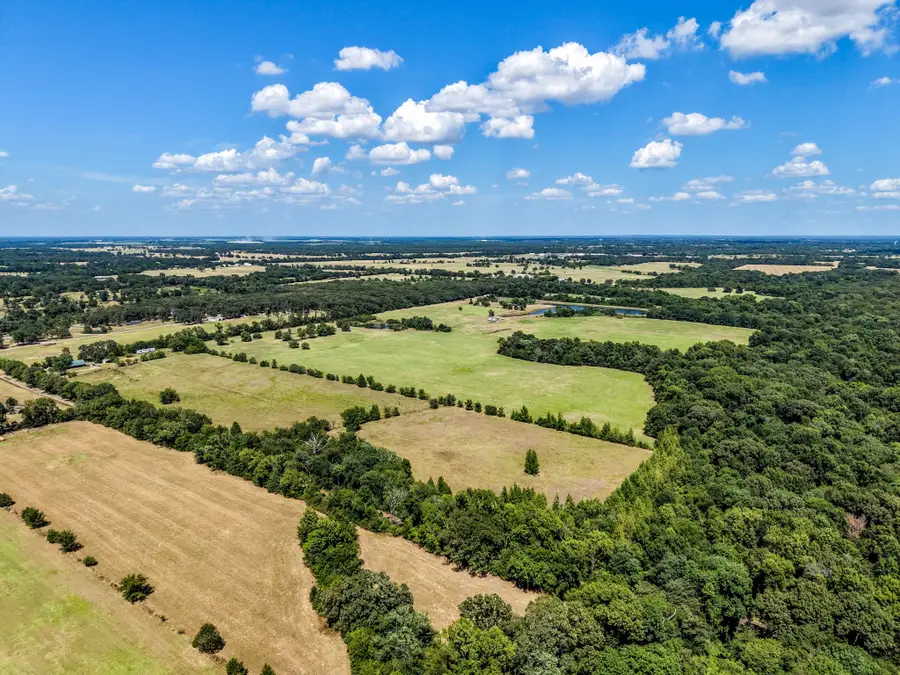 TBD County Road 2331, Como, TX 75431 - #3