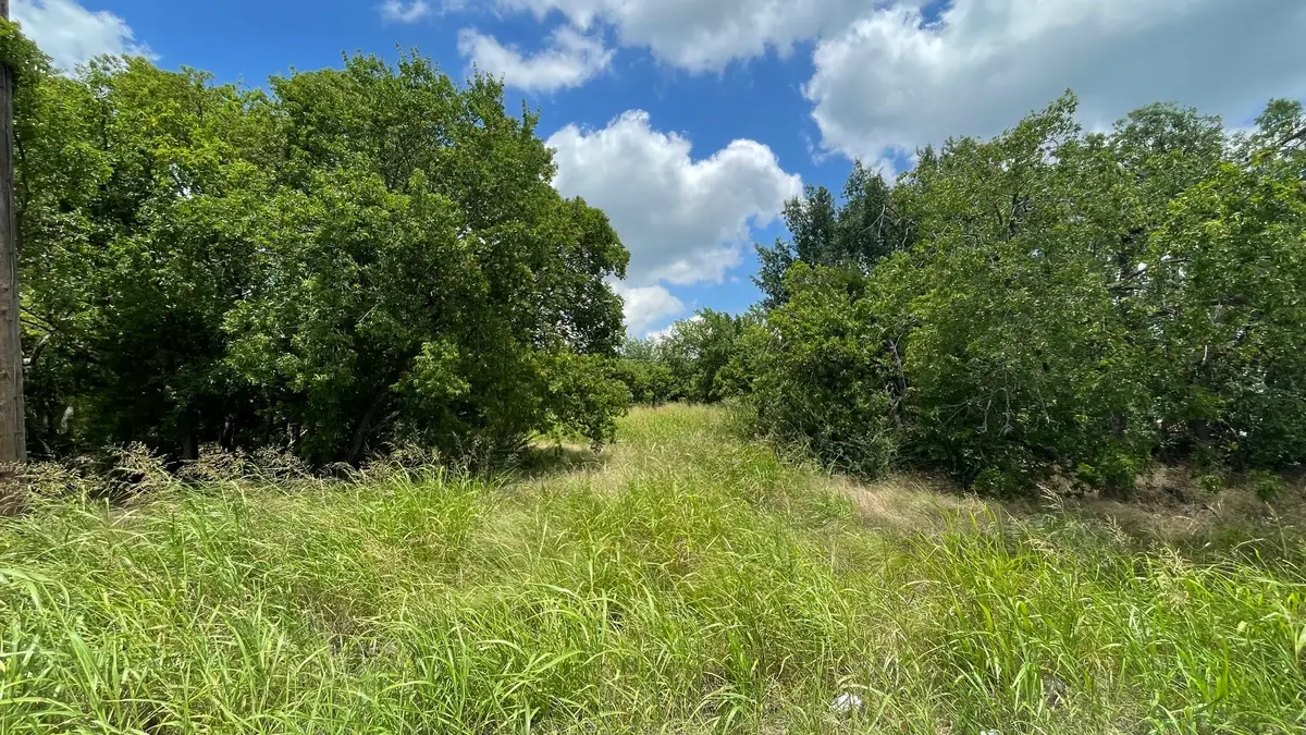 5362 Turnout Lane, Dallas, TX 75236 - #1