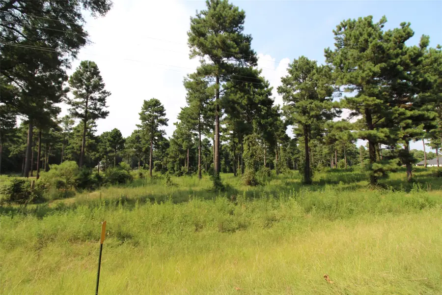 3559 Parish Line Road, Doyline, LA 71023 - #3