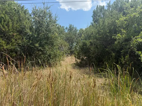 817 Pawnee Trail, Granbury, TX 76048