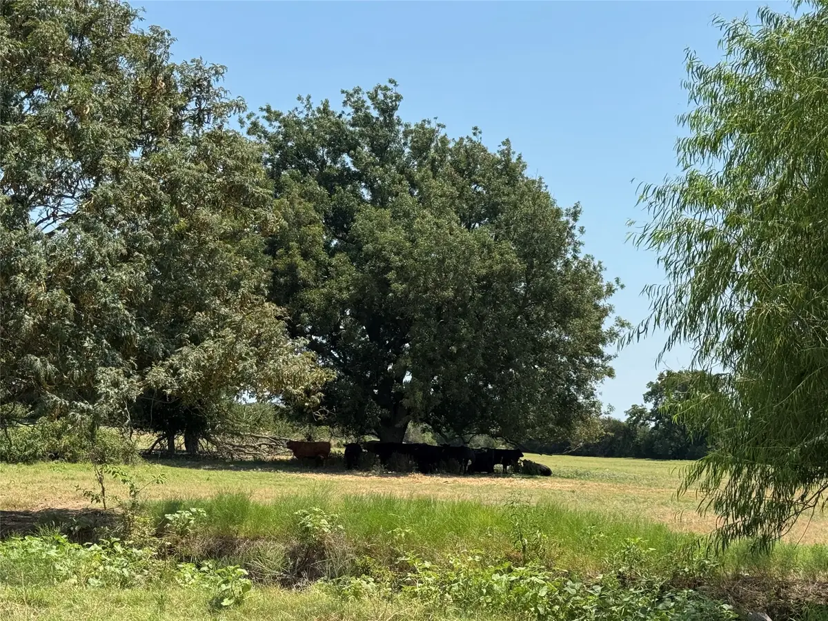 2800 W Highway 82, Gainesville, TX 76240 - #1