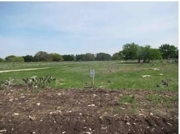 310 Yellowstone Drive, Oglesby, TX 76561 - #1