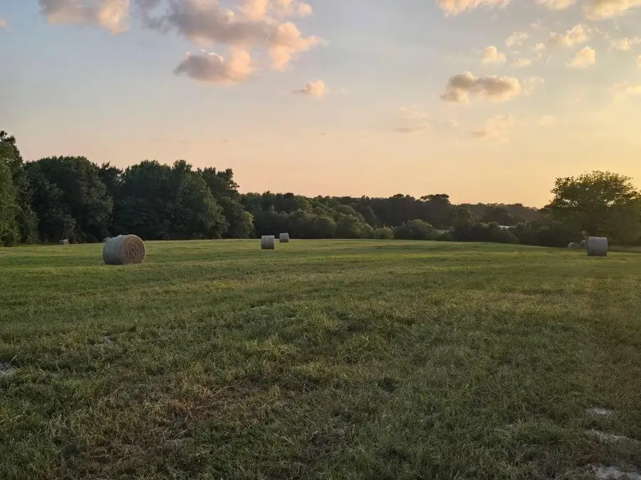 20086 County Road 299, Arp, TX 75750 - #2