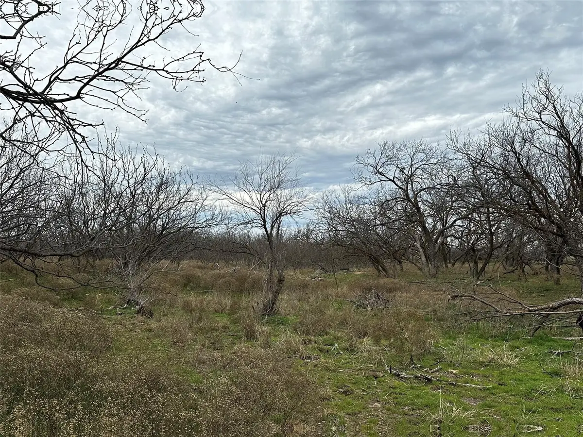 Tract 13 AC Cr 105, Abilene, TX 79601 - #1