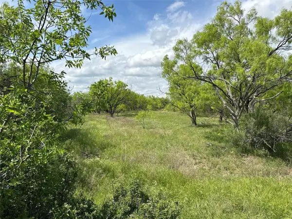 Tract 14 AC Cr 105, Abilene, TX 79601