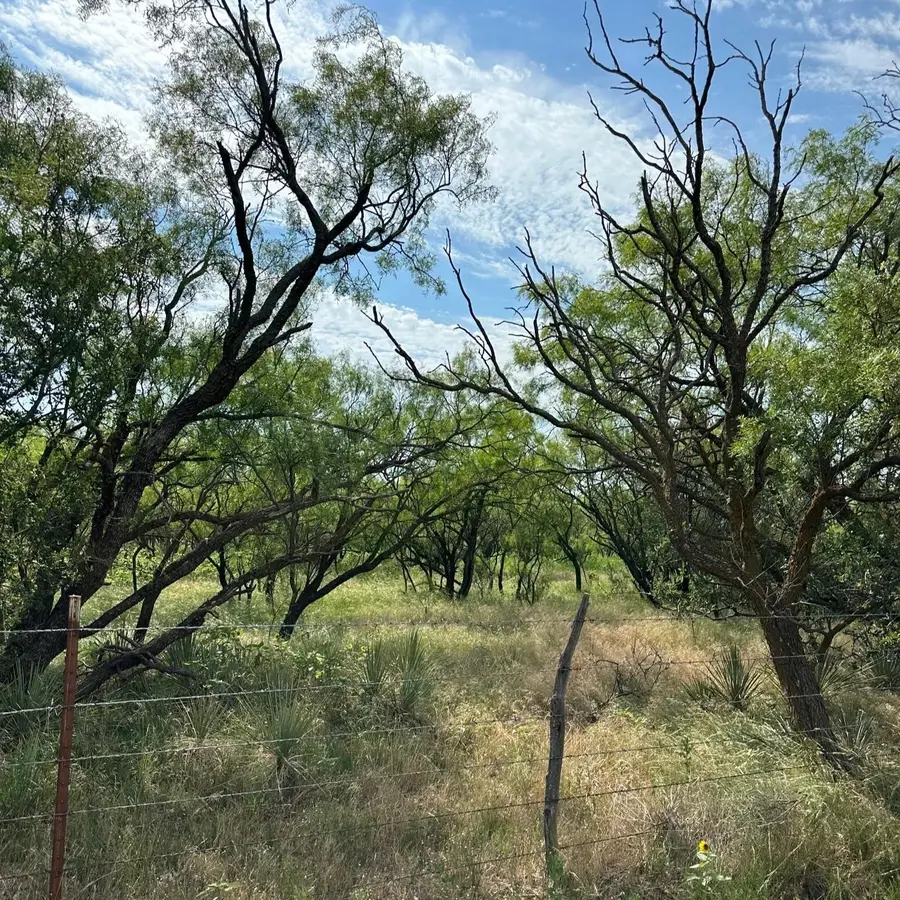 Tract 14 AC Cr 105, Abilene, TX 79601 - #2