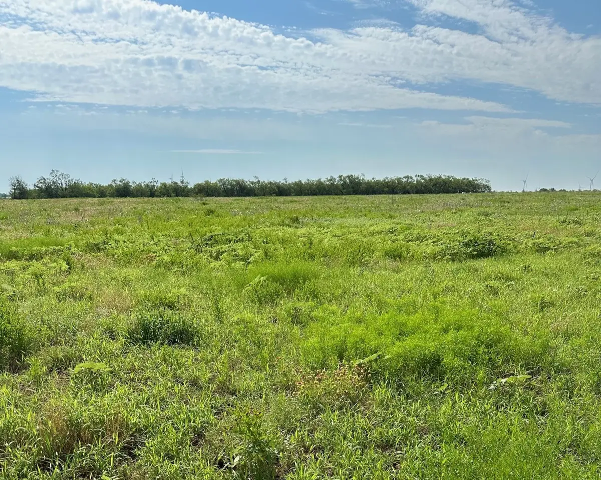 Tract 23 Cr 105, Abilene, TX 79601 - #1
