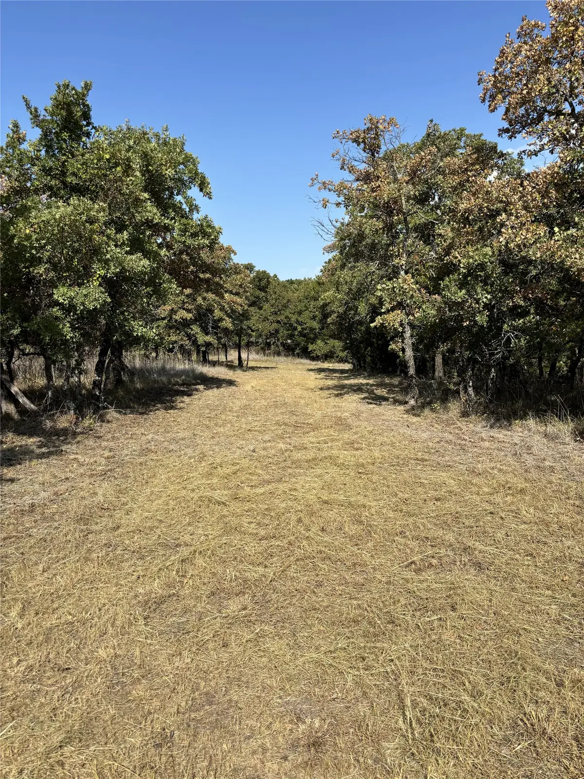 Lot 168 Post Oak Cove, Sunset, TX 76270 - #1