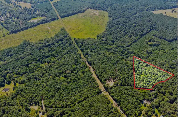 Lot 1 County Road 1240, Pittsburg, TX 75686