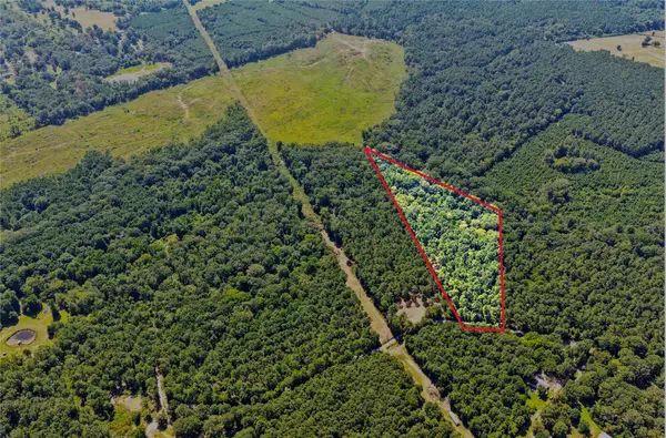 Lot 2 County Road 1240, Pittsburg, TX 75686