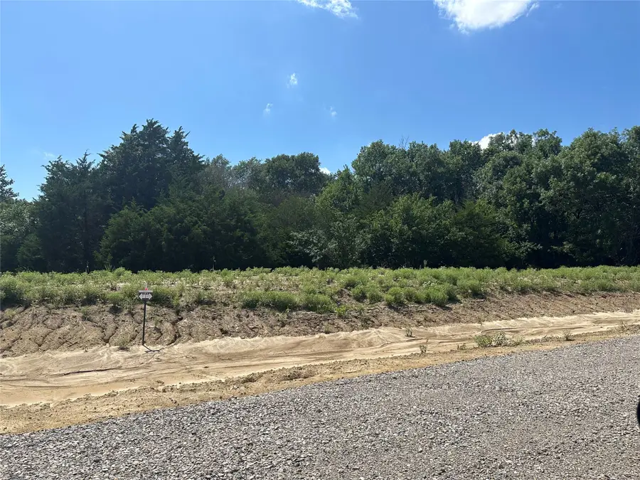 Lot 11 County Road 1110, Farmersville, TX 75442 - #2