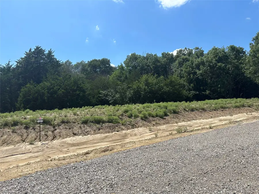 Lot 11 County Road 1110, Farmersville, TX 75442 - #3
