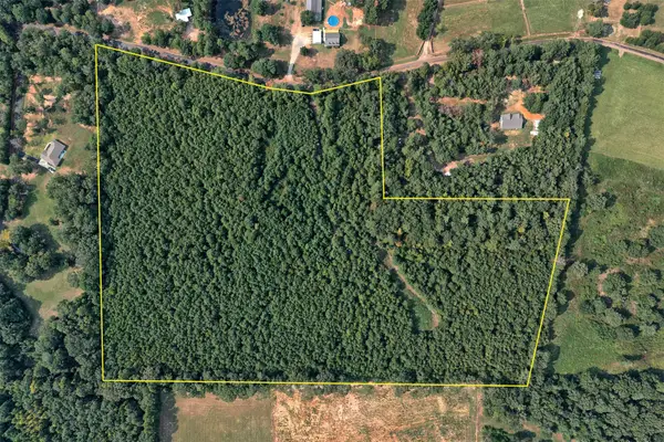 00 County Road 164, Long Branch, TX 75669
