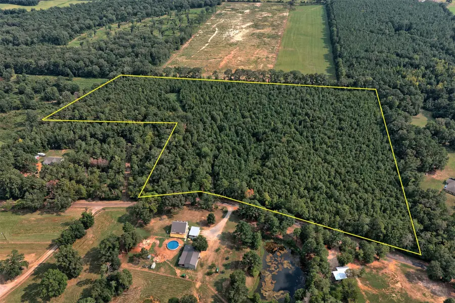 00 County Road 164, Long Branch, TX 75669 - #2