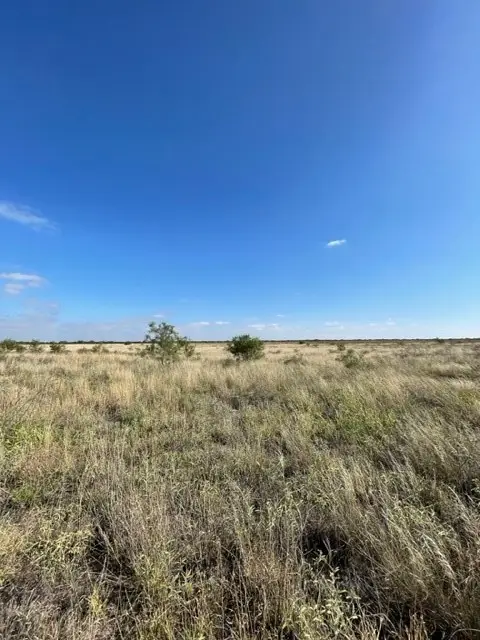 TBD Fm 2279, Rule, TX 79521 - #2