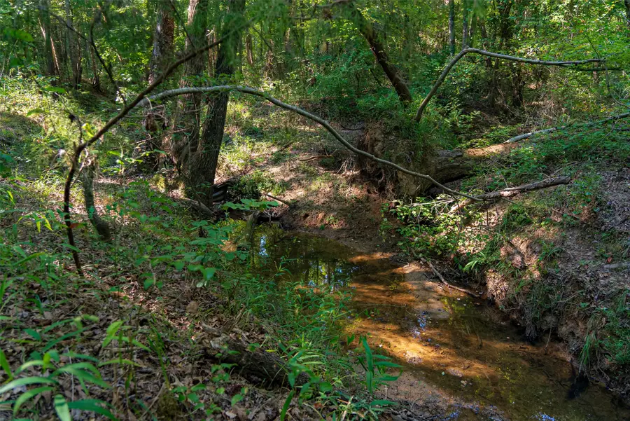 0 County Road 3302, Brownsboro, TX 75756 - #2