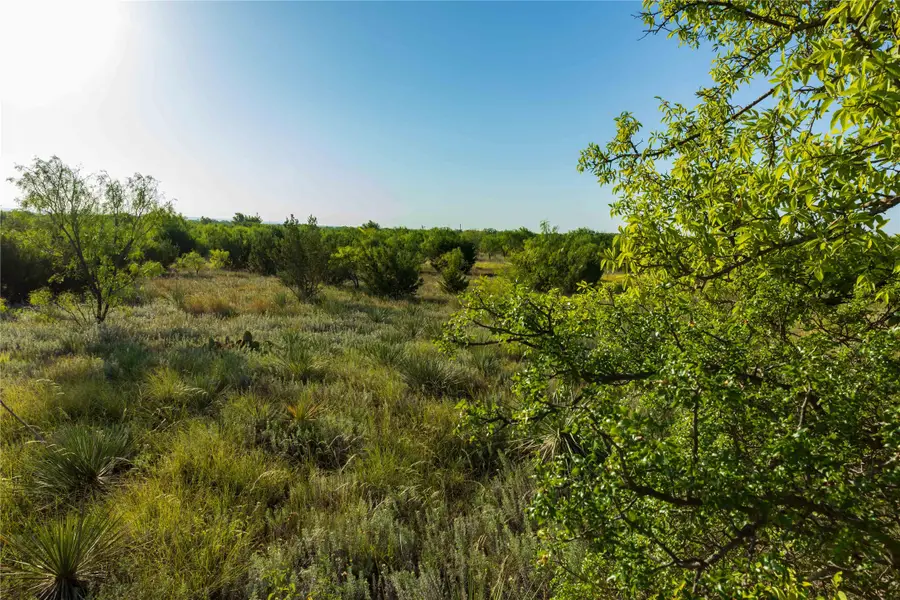 TBD HWY 83 CR 250 Hwy 83, Ovalo, TX 79541 - #2