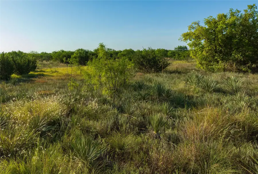 TBD HWY 83 CR 250 Hwy 83, Ovalo, TX 79541 - #3