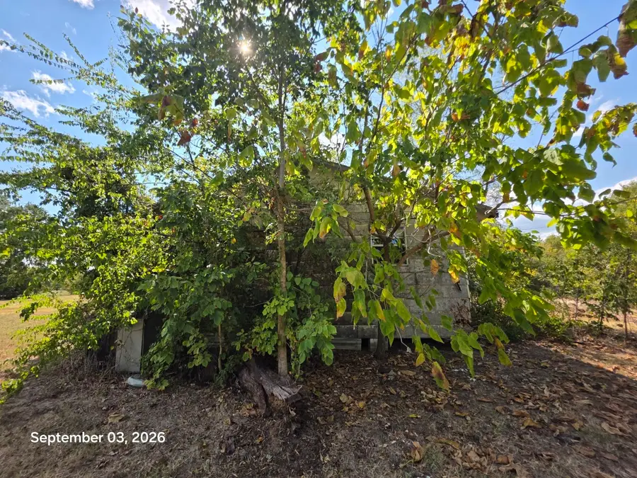 973 Cr 1695, Mount Pleasant, TX 75455 - #2