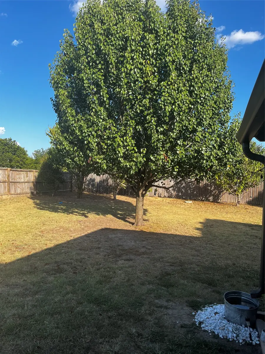 1705 Melody Circle, Kaufman, TX 75142 - #3