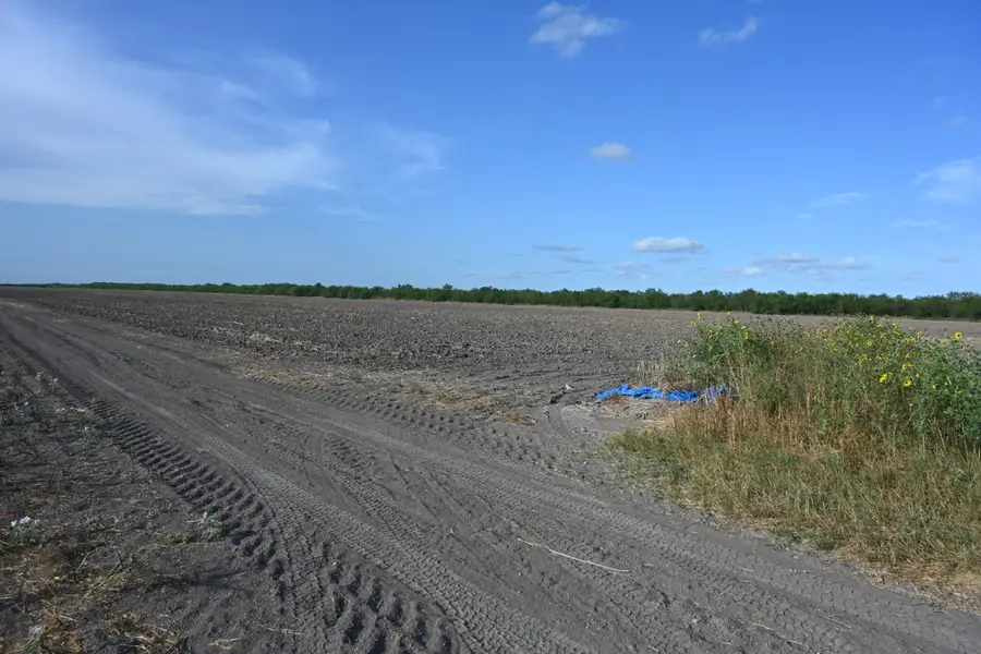 TBD-4 Bixby Rd, Harlingen San Benito, TX 78570 - #3
