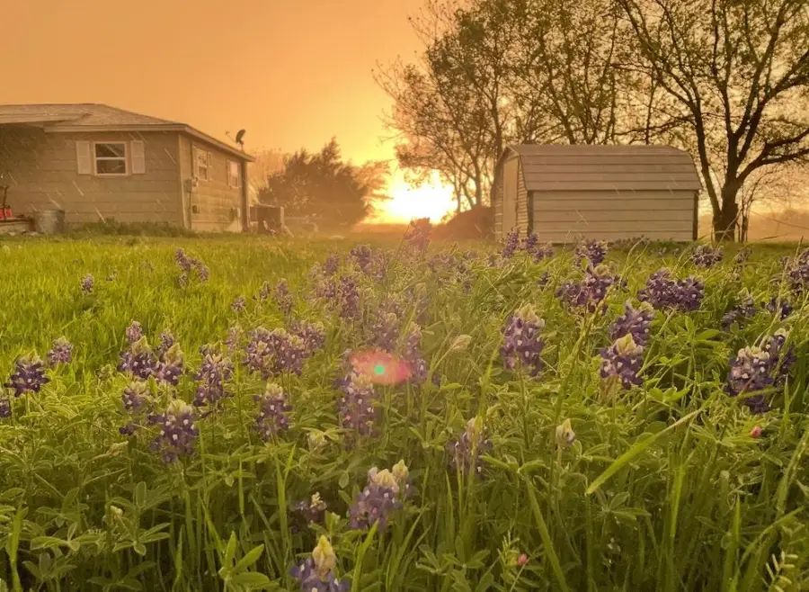 4410 Fm 118, Greenville, TX 75401 - #2