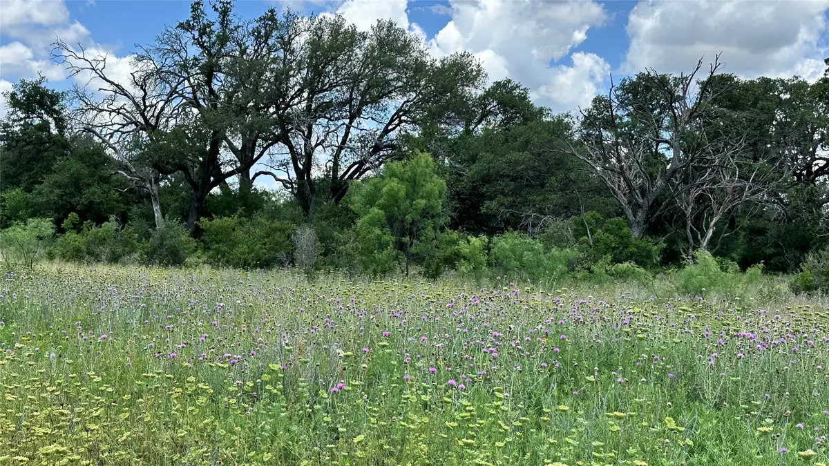 TBD 16 County Road 295, Carbon, TX 76435 - #1