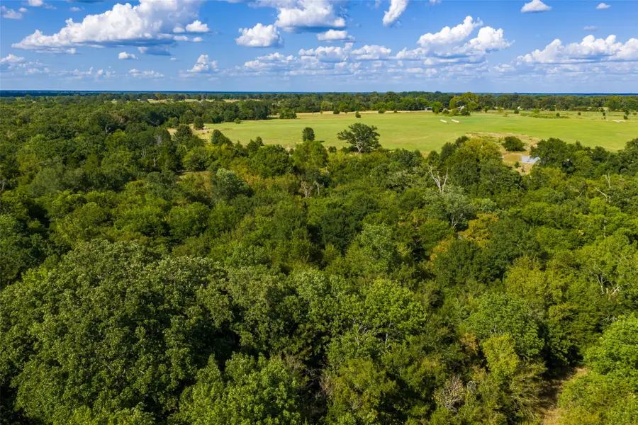 10446 Fm 859, Edgewood, TX 75117 - #3