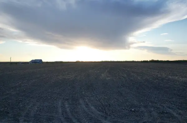 TBD-6 1 Mile East Rd, Mercedes, TX 78570