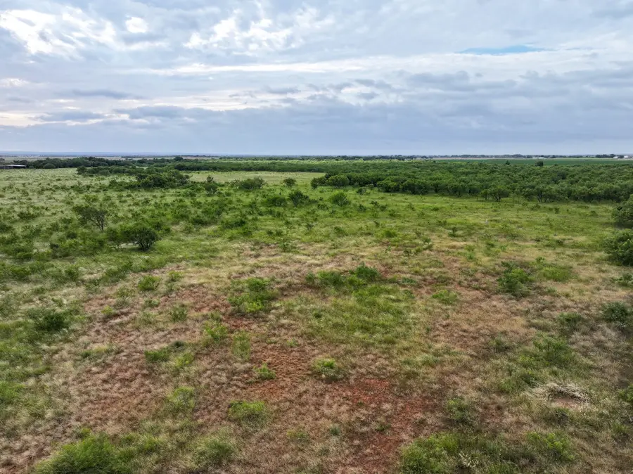 136 Badger Den, Tuscola, TX 79562 - #2