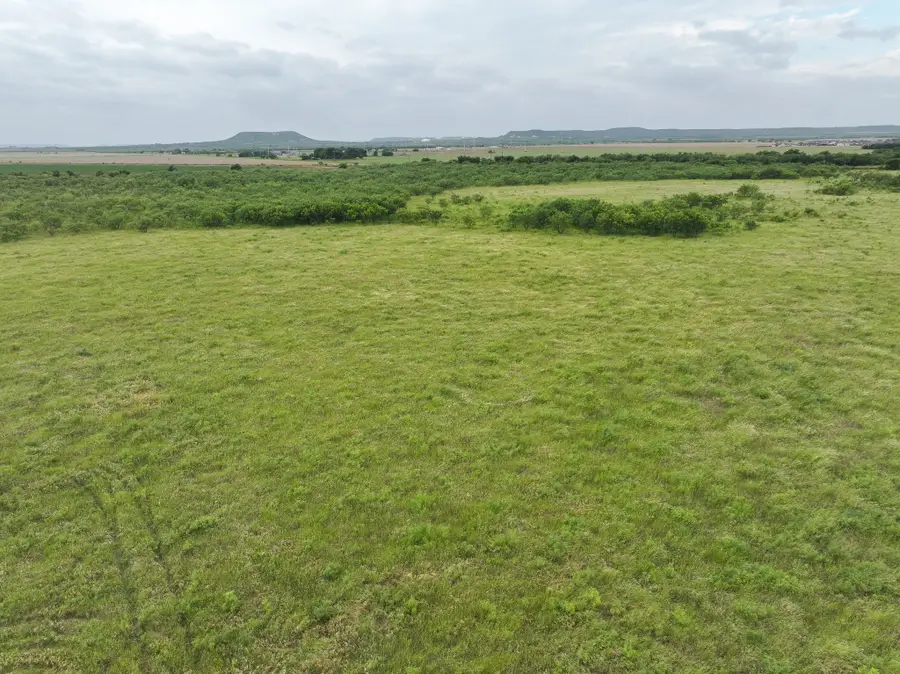 136 Badger Den, Tuscola, TX 79562 - #3