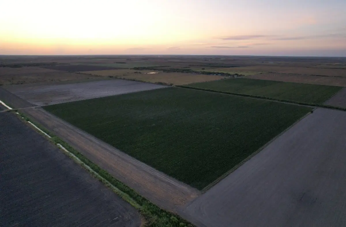 TBD-3 Mile 3 East Rd, Harlingen San Benito, TX 78570 - #1