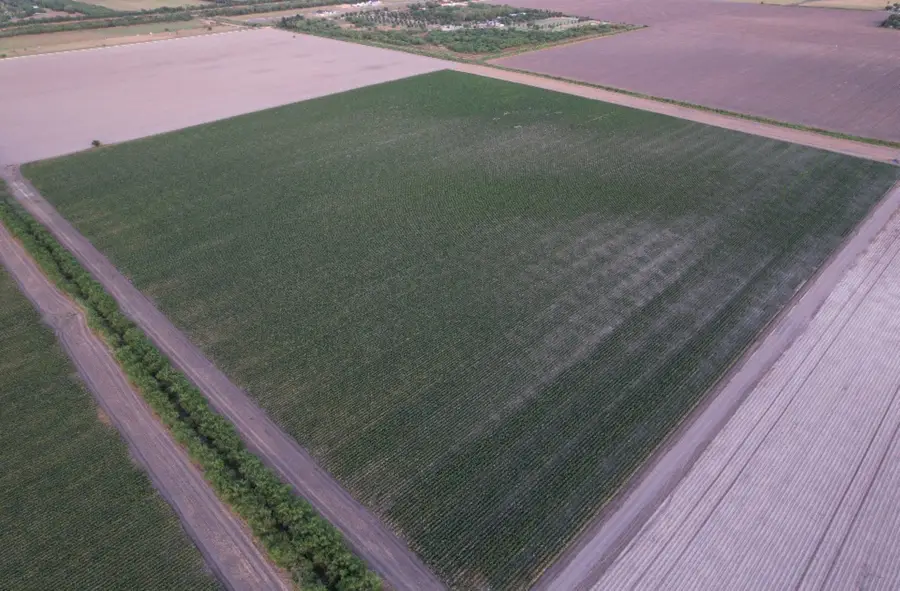 TBD-3 Mile 3 East Rd, Harlingen San Benito, TX 78570 - #2