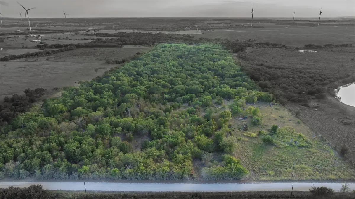 295 Hcr 3240, Mount Calm, TX 76673 - #1