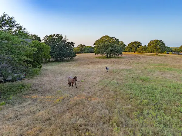 2403 County Road 2224, Decatur, TX 76234