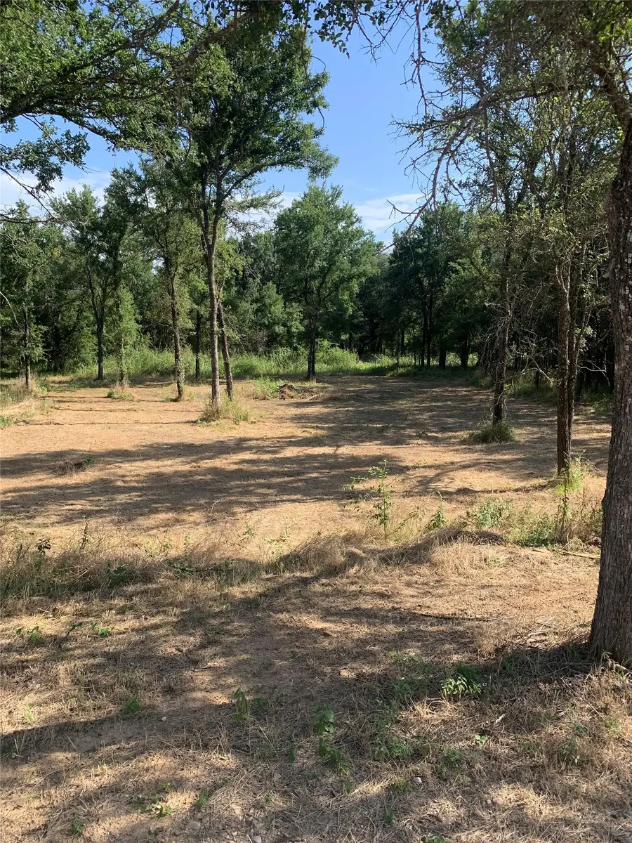 Lot 3 Cimmarron Trail, Runaway Bay, TX 76426 - #2