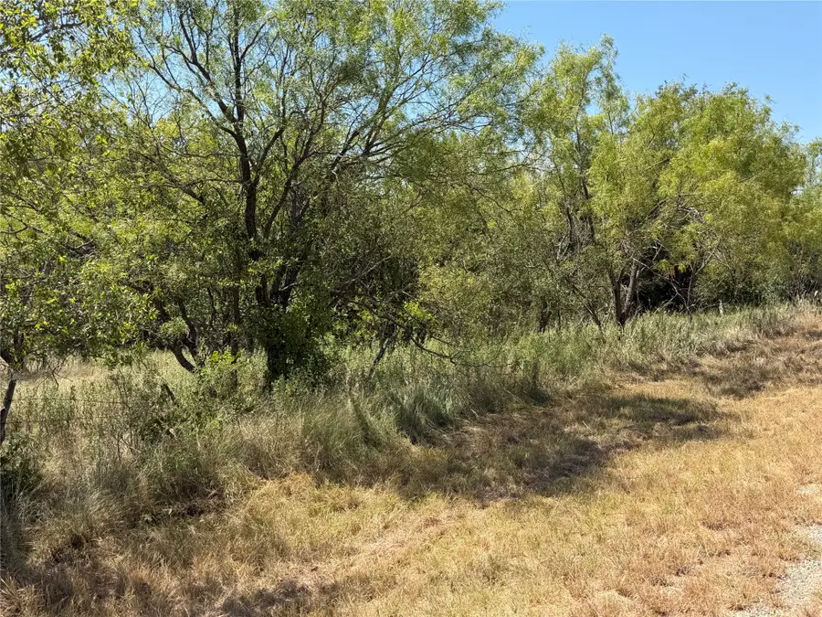 28 County Road 417, May, TX 76857 - #3