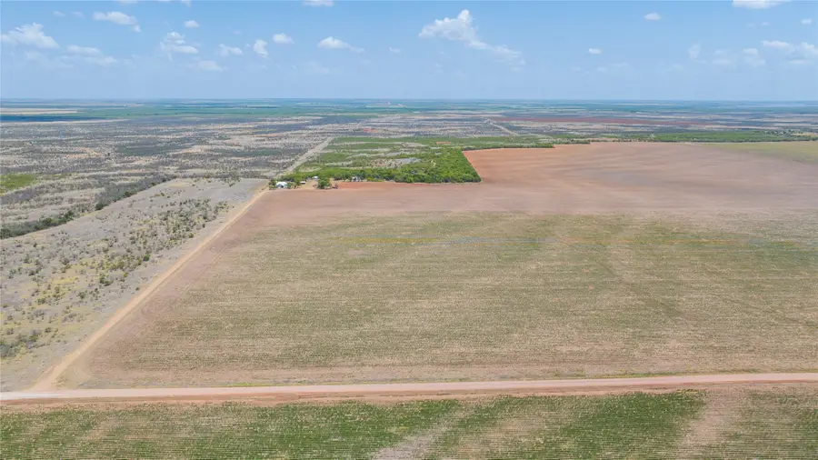 11270 County Road 202, Avoca, TX 79503 - #2