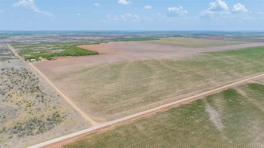 11270 County Road 202, Avoca, TX 79503 - #3