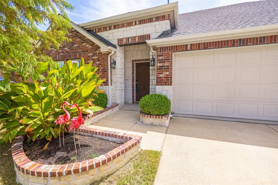 10005 Petrified Tree Lane, McKinney, TX 75072 - #2