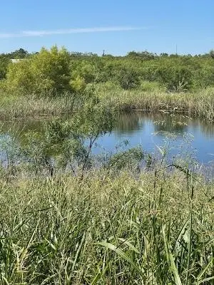 912 O D Lane, Coleman, TX 76834