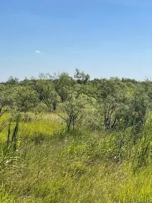 912 O D Lane, Coleman, TX 76834 - #2