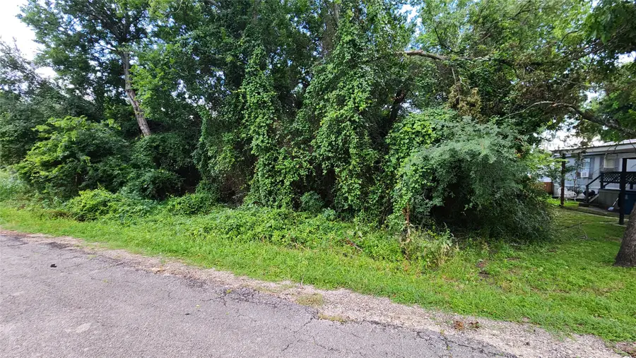 325 Capricorn Drive, Granbury, TX 76049 - #3