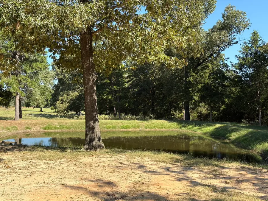 145 Private Road 7004, Frankston, TX 75763 - #2