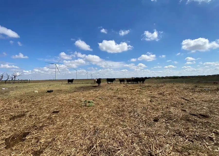 2406 Fm-1080, Haskell, TX 76388 - #2