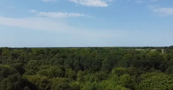 TBD County Road 314, Terrell, TX 75161