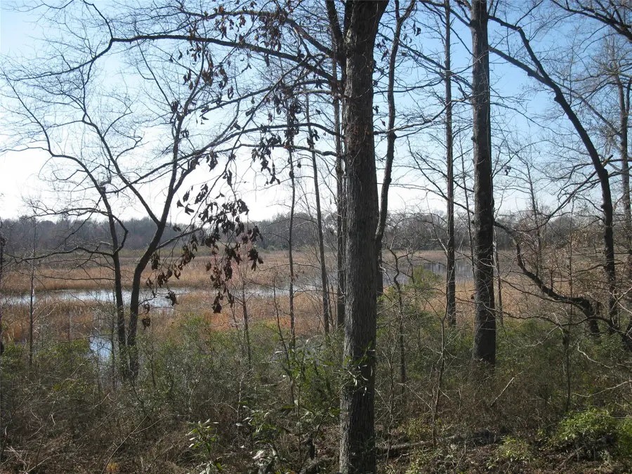 TBD 133 AC +- Vz County Road 4701, Ben Wheeler, TX 75754 - #2
