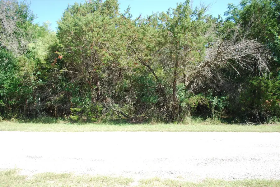 35033 Oakwood Drive, Whitney, TX 76692 - #2