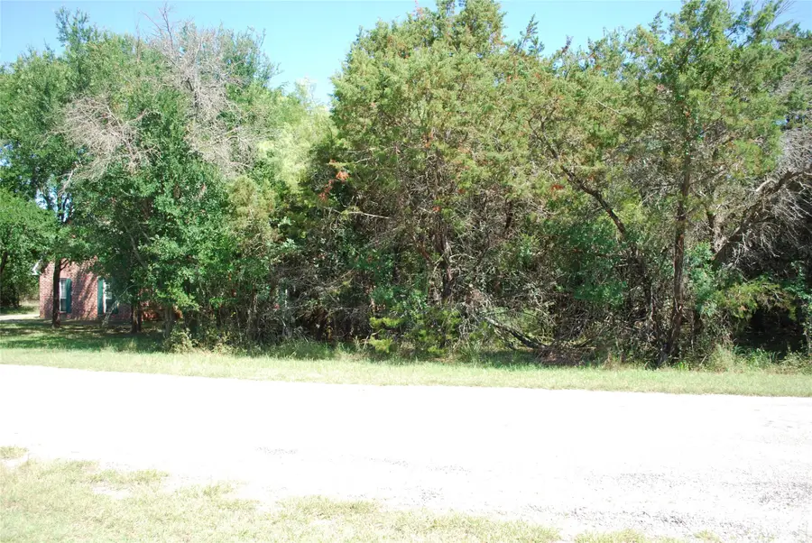 35033 Oakwood Drive, Whitney, TX 76692 - #3