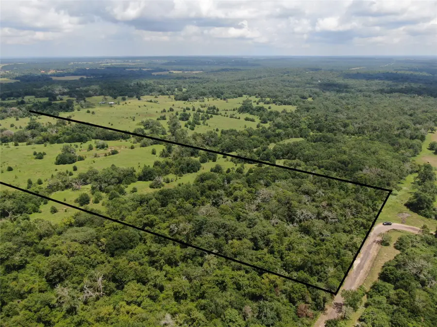 1 Cr 411, Buffalo, TX 75831 - #2